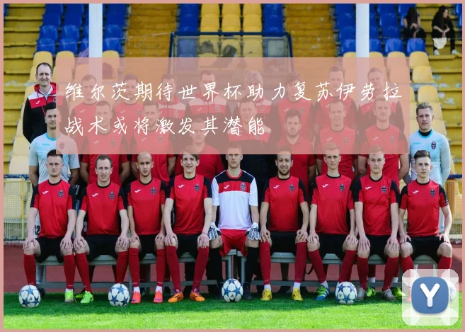维尔茨期待世界杯助力复苏伊劳拉战术或将激发其潜能